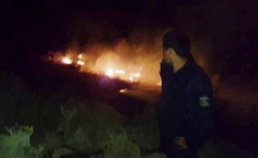 Incendio en el ca&ntilde;ad&oacute;n del arroyo Calafate