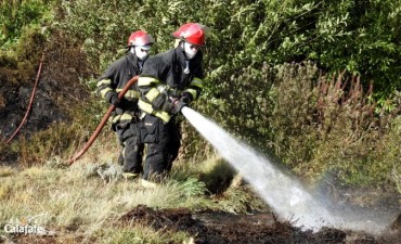 Bomberos combatieron incendio en un ca&ntilde;ad&oacute;n