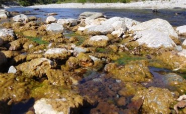 Parques brindar&aacute; charlas sobre Didymo