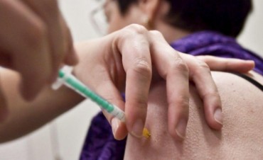 La Vacuna contra la Fiebre Amarilla todav&iacute;a no lleg&oacute; a Santa Cruz