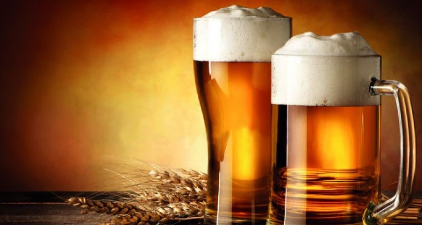 El Chalt&eacute;n sede del ciclo &ldquo;Ciencia y Cerveza&rdquo; 