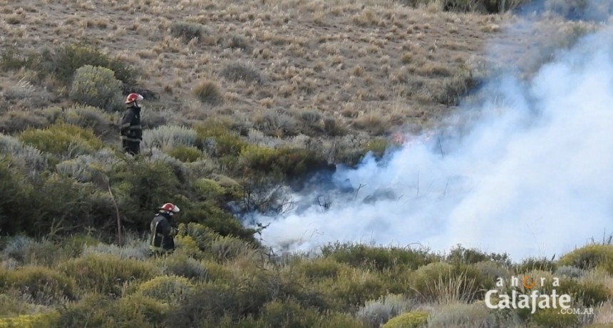 Bomberos combatieron incendio en un ca&ntilde;ad&oacute;n urbano