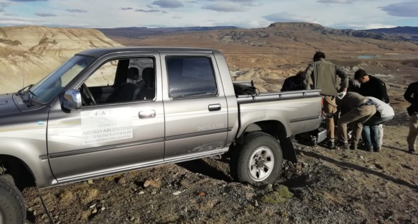 Nuevo hallazgo paleontol&oacute;gico en cercan&iacute;as de El Calafate