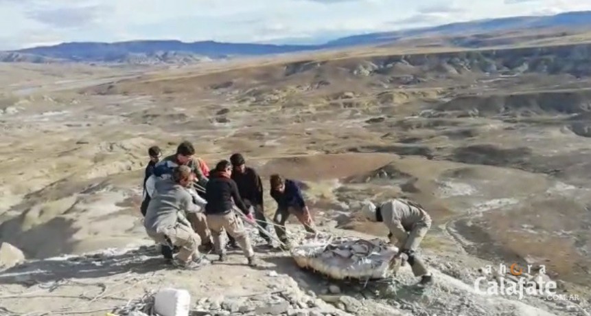 Detalles de los nuevos hallazgos de dinosaurios cerca de El Calafate 
