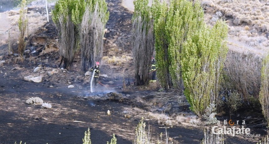Otro incendio en un ca&ntilde;ad&oacute;n
