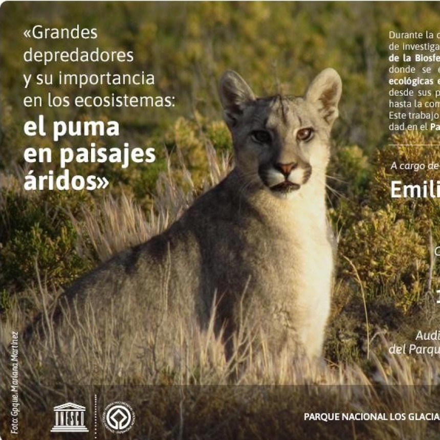 Charla abierta: "El puma en los paisajes &aacute;ridos"