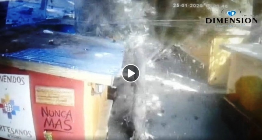 VIDEO. Impactante. Enorme rama cay&oacute; sobre el Paseo Artesanal