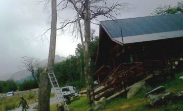 Autorizan tala de &aacute;rboles muertos frente al Glaciar
