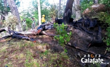 Principio de incendio en el PN Los Glaciares