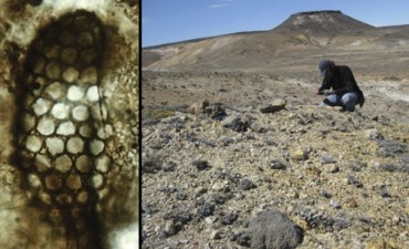 Descubren un yacimiento extraordinario del Jur&aacute;sico en Santa Cruz