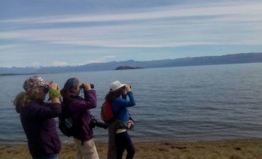 M&aacute;s de 4500 aves en la Reserva Natural de El Calafate