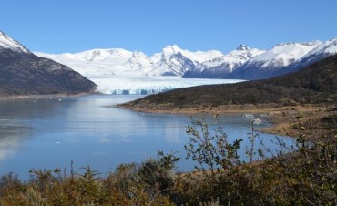 Banco Naci&oacute;n reactiva remate de tierras en Pen&iacute;nsula Magallanes