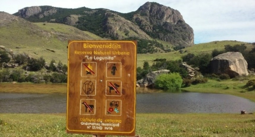 El Chalt&eacute;n. Piden desafectar tierras de reservas naturales para lotear