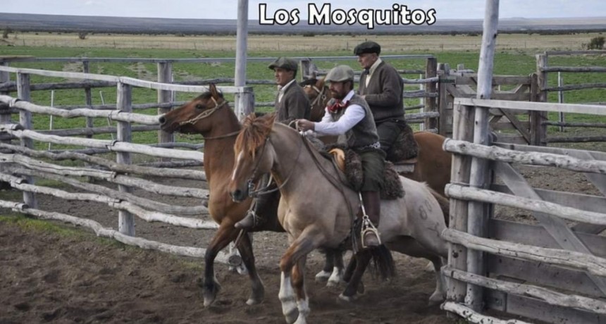 Calafate&ntilde;os se destacaron en la Final Regional de Aparte Campero.