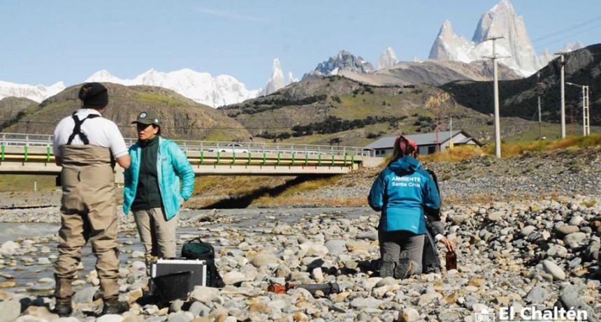 El Chalt&eacute;n. Eval&uacute;an la calidad del agua en  r&iacute;os