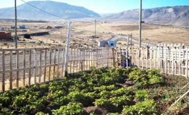 La huerta, actividad que no para de crecer