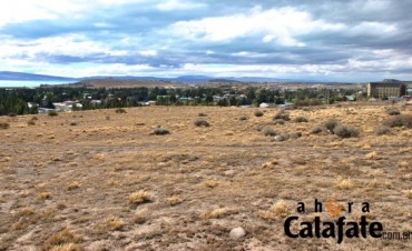 &iquest;Llega la empresa Diarco?