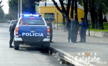 Dos detenidos por da&ntilde;os y lesiones