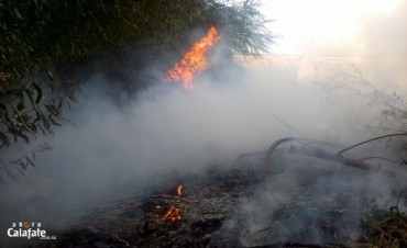 Incendio caus&oacute; alarma en el barrio Manantiales