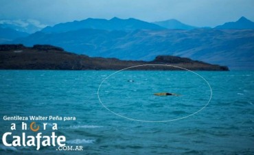 Susto en el lago Argentino.
