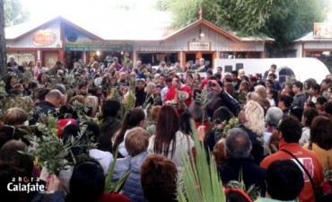 Fieles colmaron la celebraci&oacute;n del Domingo de Ramos 