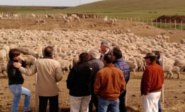 &ldquo;La producci&oacute;n agropecuaria tiene que ocupar un lugar m&aacute;s importante en Santa Cruz&rdquo;