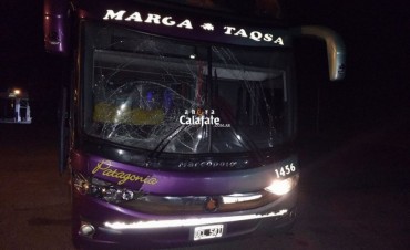 Casi una tragedia. Colectivo con pasajeros choc&oacute; con un caballo 