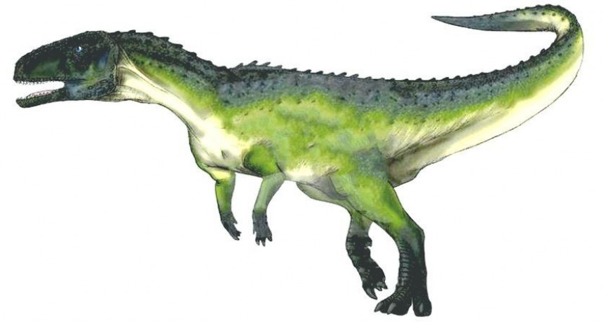 Buscan m&aacute;s restos de un dinosaurio hallado en 2002