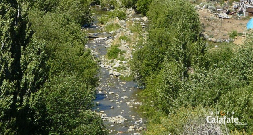 Jornada de Limpieza del arroyo