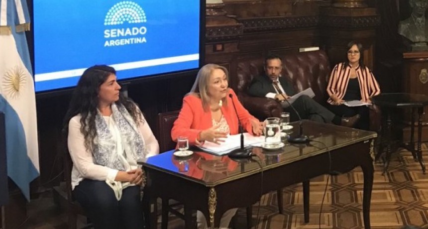 SENADO. Santa Cruz tiene la  vicepresidencia de Comisi&oacute;n de Turismo