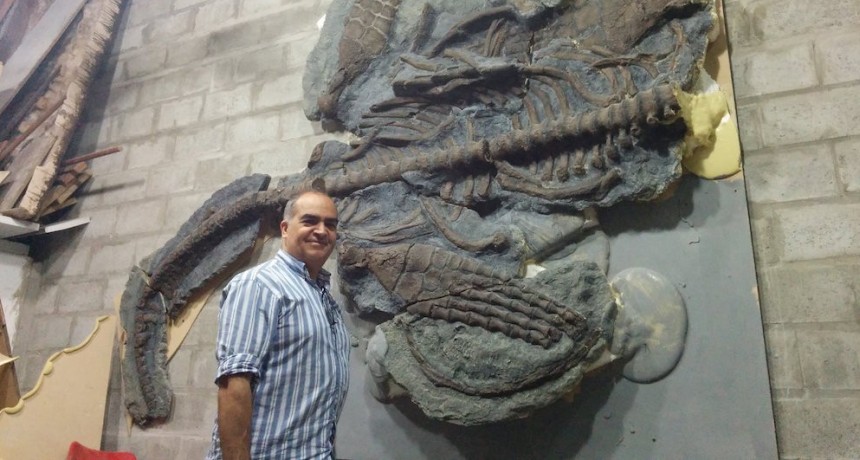 El estudio del Plesiosaurio del Lago Argentino est&aacute; en etapa final