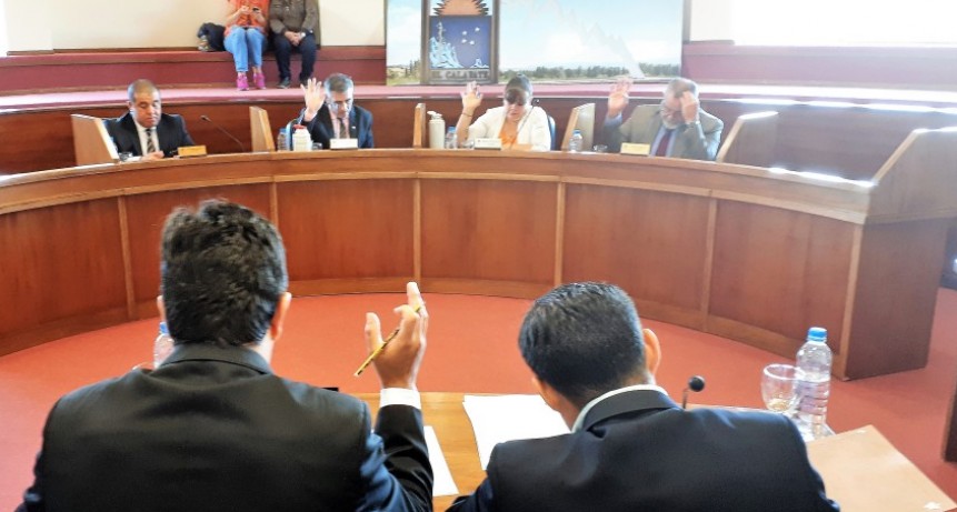 VIDEO. Concejales cuentan ideas y objetivos para el 2019.