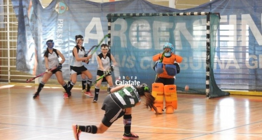 Arranca la Liga Santacruce&ntilde;a de Hockey Pista en El Calafate