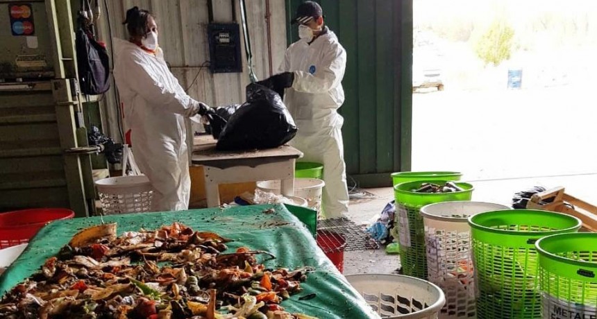 Analizaron la basura que se genera en El Calafate 