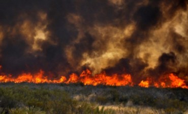 Pto. Madryn: Un Incendio pone en riesgo el Sistema Interconectado 