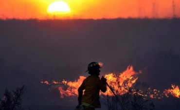 Fue controlado el incendio que amenazaba el suministro el&eacute;ctrico en la regi&oacute;n