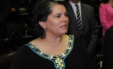 Toledo pide a Naci&oacute;n que se abstenga a realizar remates en Pen&iacute;nsula Magallanes