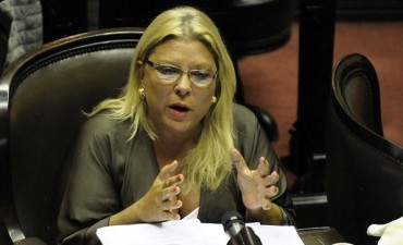 Carri&oacute; pide informes sobre el Fondo Fiduciario del Cruce Mar&iacute;timo Sur