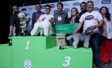 El Calafate tercero en Concurso Internacional de Groomers