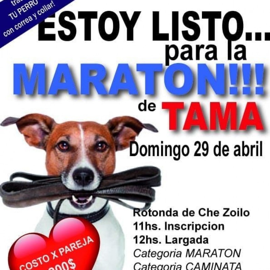 En el D&iacute;a del Animal Marat&oacute;n y Caminata de TAMA