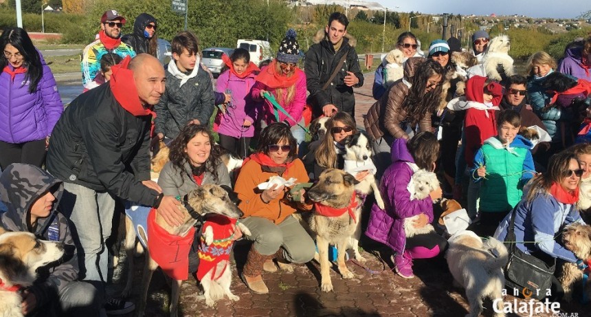 8va Marat&oacute;n Perruna en el D&iacute;a del Animal