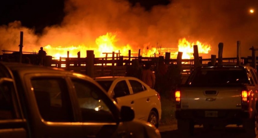 Incendio destruy&oacute; caballerizas en El Chalt&eacute;n