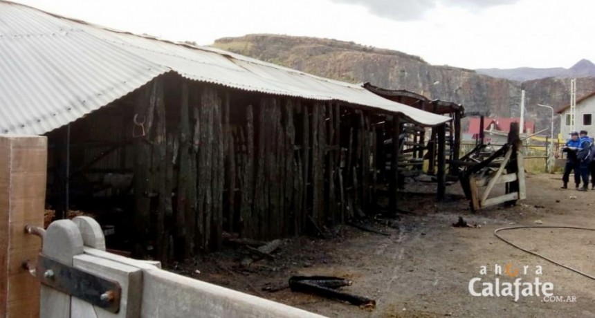 El incendio en El Chalt&eacute;n tuvo un origen intencional