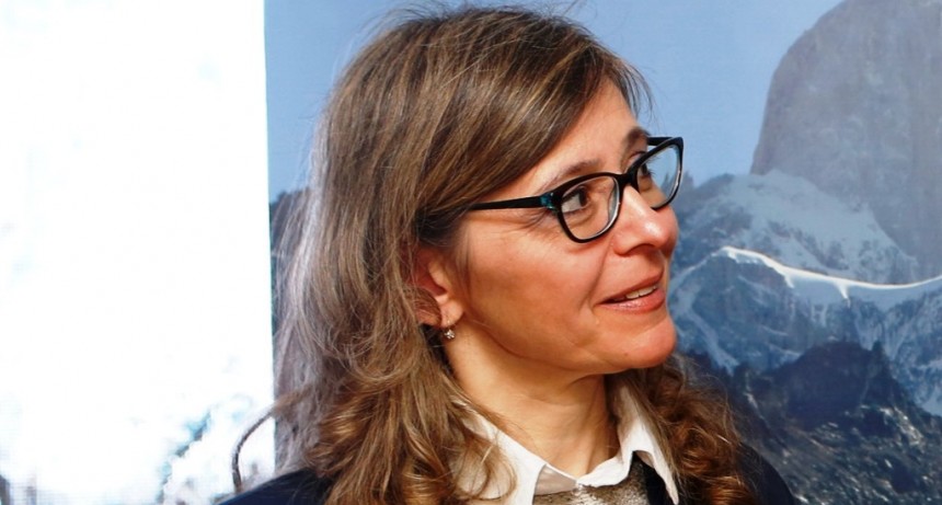 Pelliza: &ldquo;Aerol&iacute;neas perdi&oacute; la br&uacute;jula, no tiene una mirada federal&ldquo;