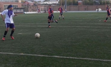 El f&uacute;tbol femenino suizo jug&oacute; una fecha y se pone al d&iacute;a