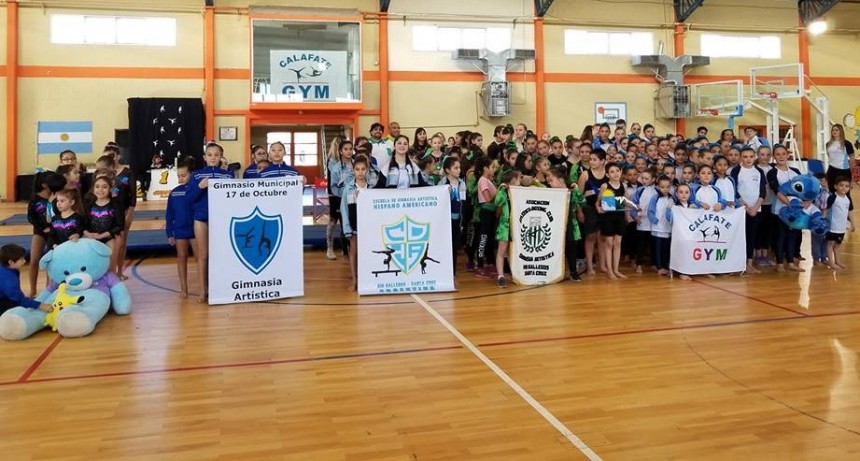 Se realiz&oacute; el V&deg; Torneo Patag&oacute;nico de Gimnasia Art&iacute;stica
