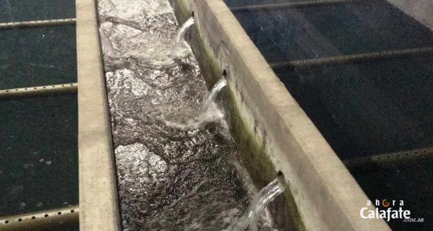 Comienza a llegar el agua 