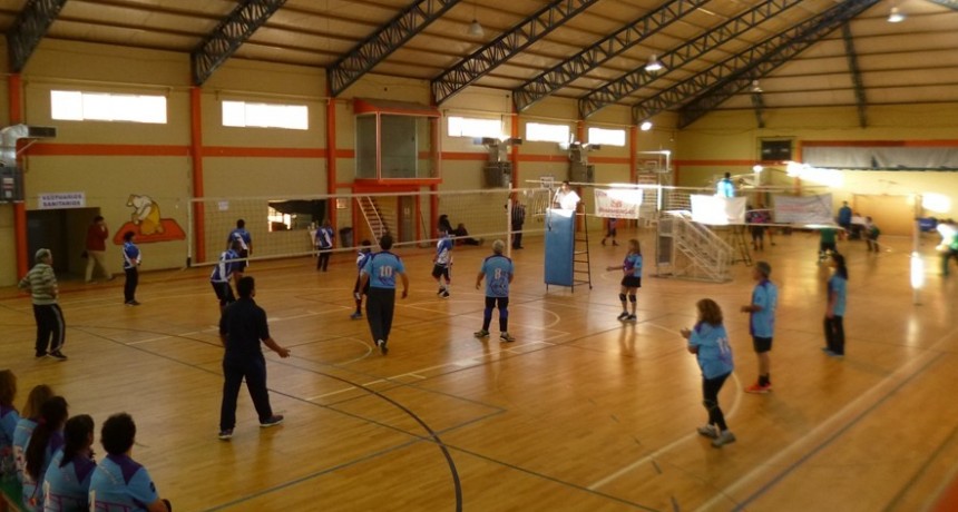 Newcom: La Patagonia tendr&aacute; torneos de selecci&oacute;n