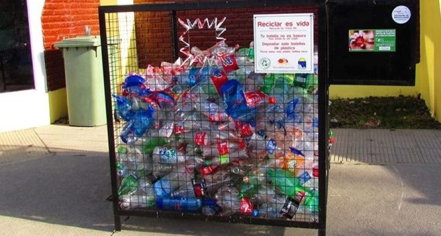 PASARON 3 A&Ntilde;OS. La Semilla-Eco Proyectos deja la campa&ntilde;a de PET