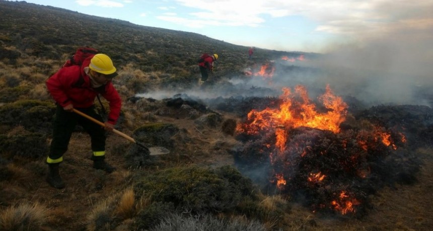 Detectan un incendio en Santa Cruz gracias a un sat&eacute;lite europeo